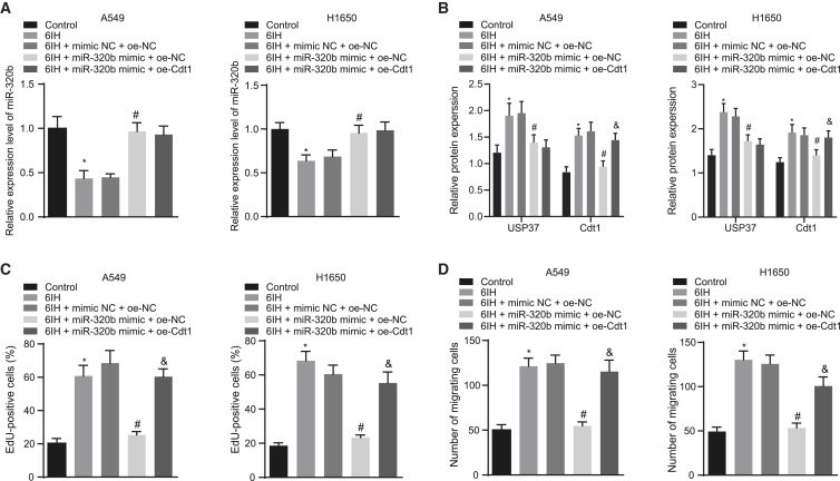 Figure 6