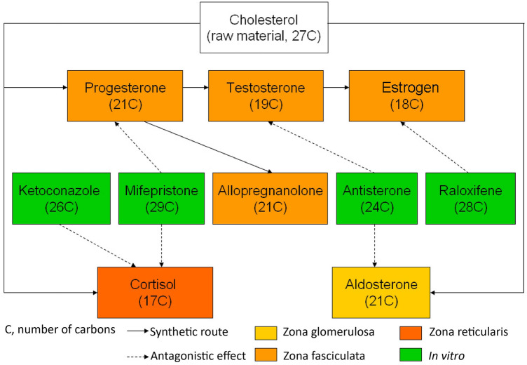 Fig. 2