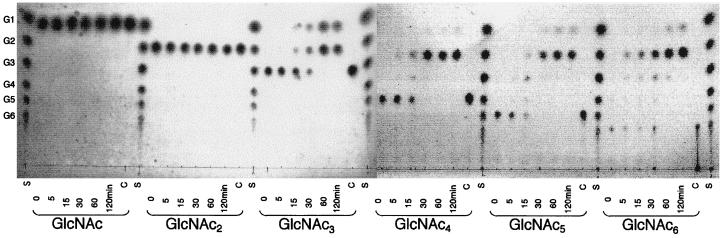 FIG. 5