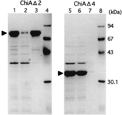 FIG. 8