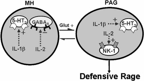 Fig. (4)