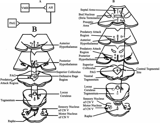 Fig. (1)