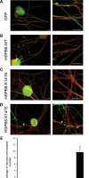 Figure 4.