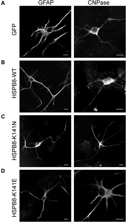 Figure 3.