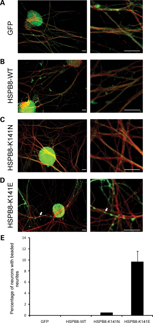 Figure 4.