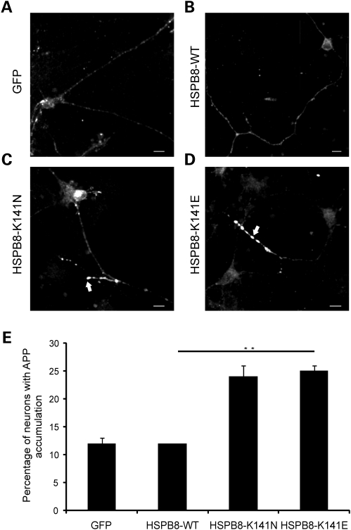 Figure 2.