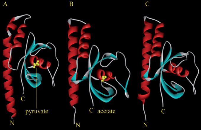 FIG 5