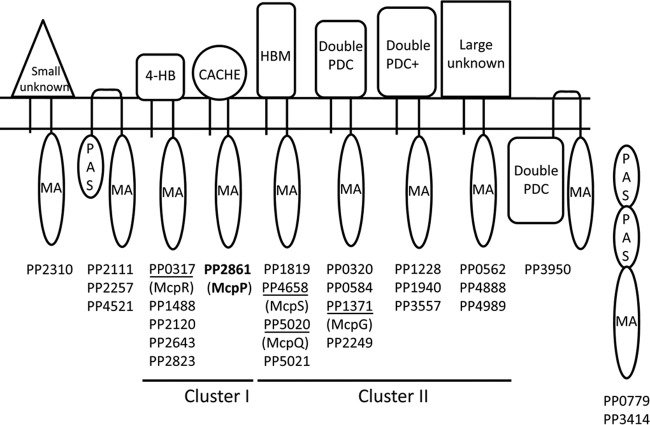 FIG 1