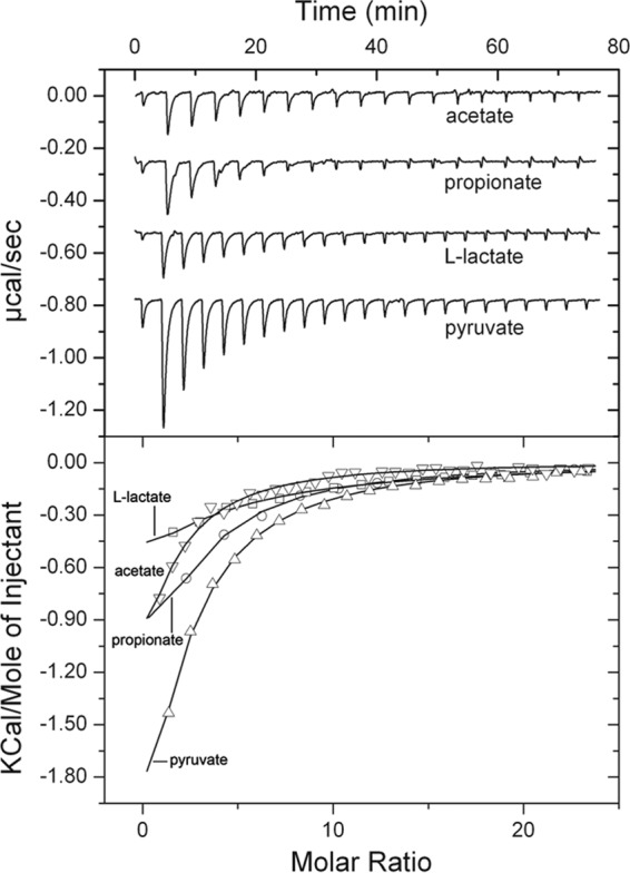 FIG 2