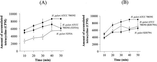 FIG. 2.