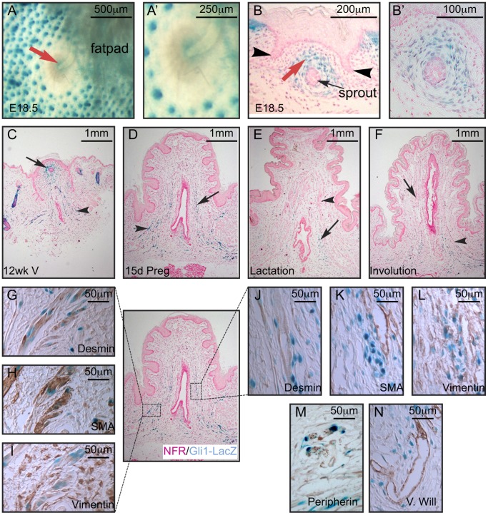 Figure 10