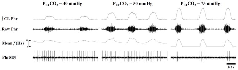 Fig. 8