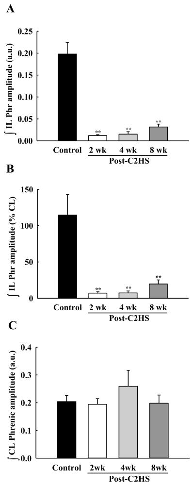 Fig. 10