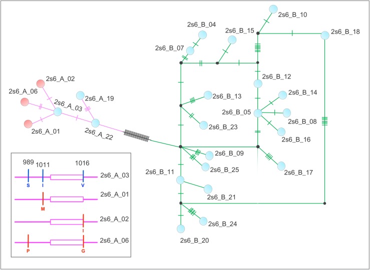 Fig 2