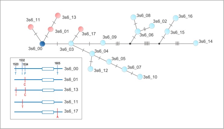 Fig 3