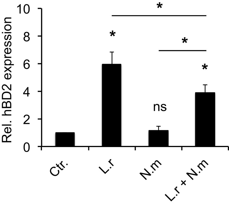 FIG 2