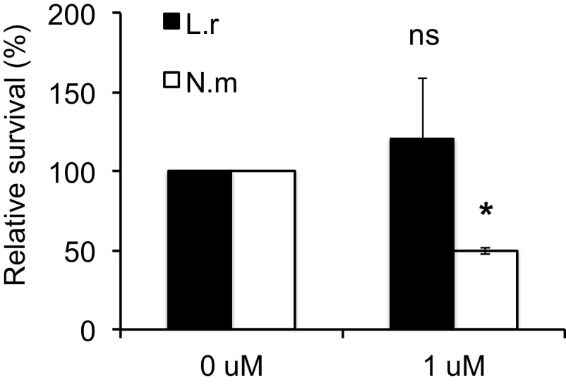 FIG 7