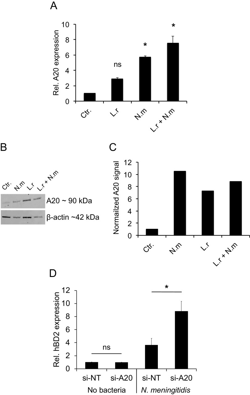 FIG 6