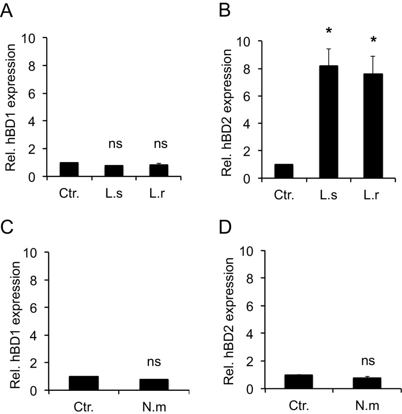 FIG 1