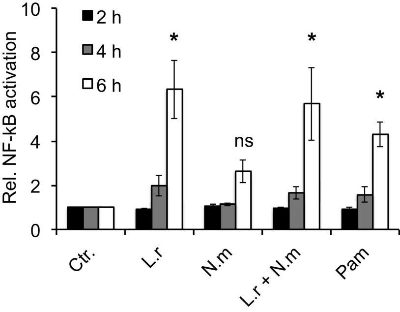 FIG 5