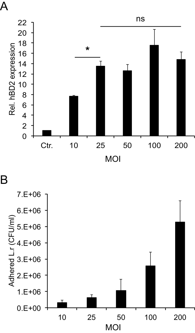 FIG 3