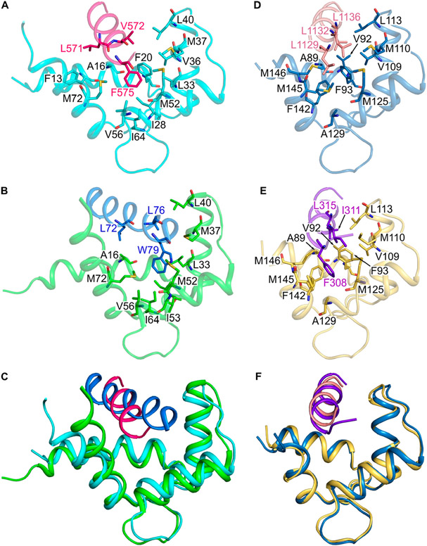 Figure 6.