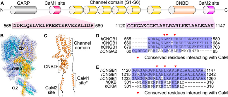 Figure 1.