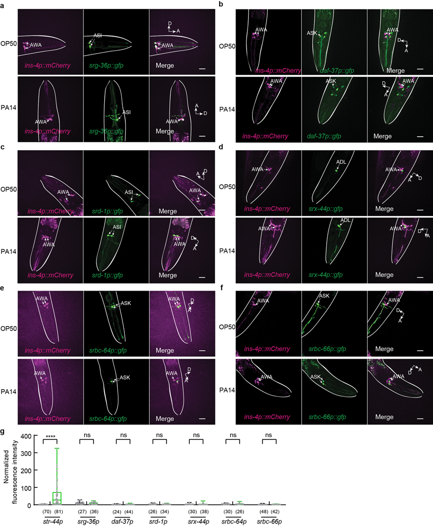 Extended Data Fig. 5.