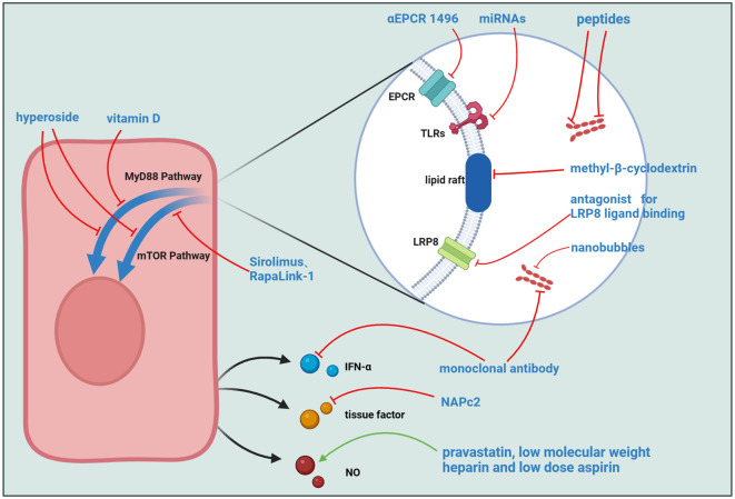 Figure 3