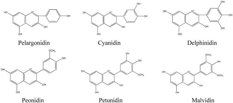 FIGURE 3