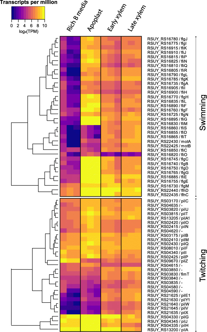 Fig. 4