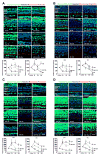 Figure 3 A-D