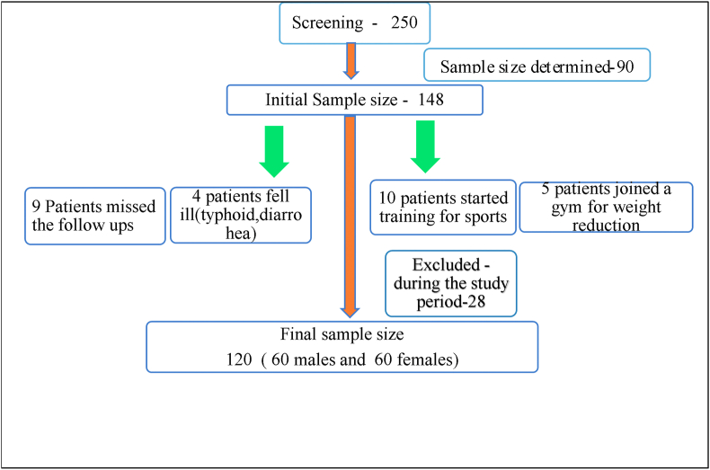 Figure 1