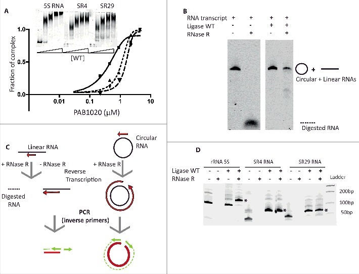 Figure 3.