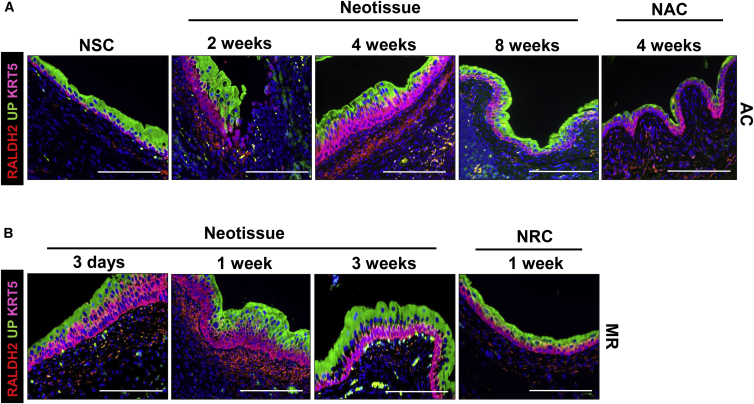 Figure 6