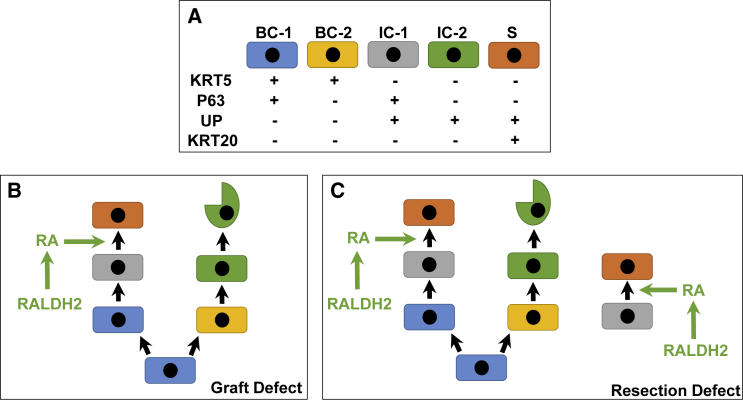 Figure 7