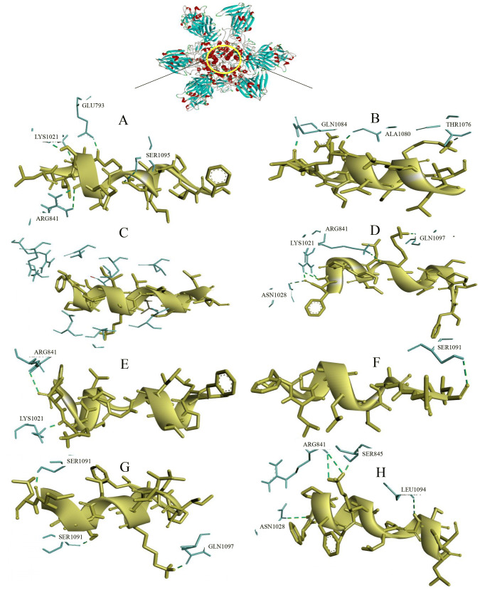 Fig. 7