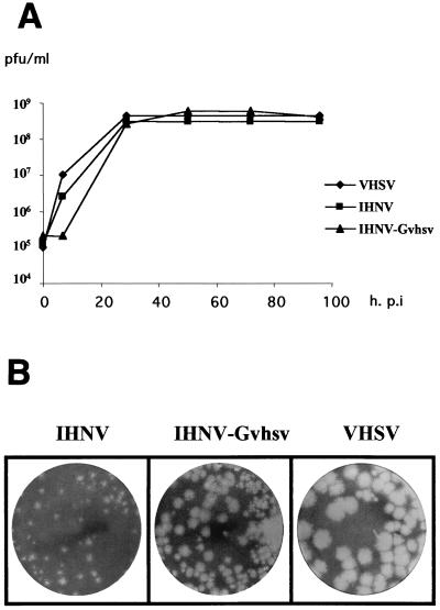 FIG. 4.