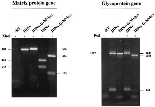 FIG. 7.