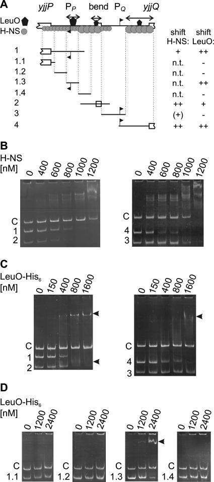 FIG. 4.