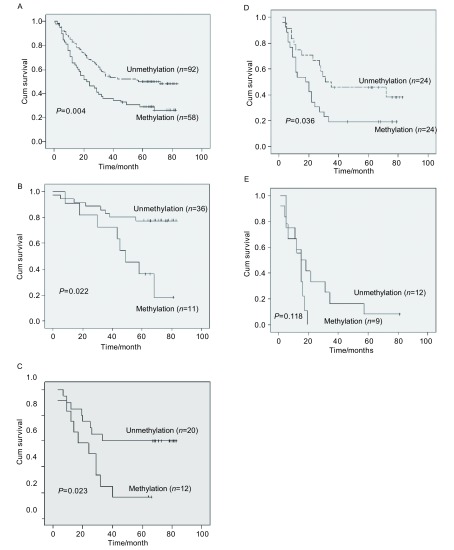 A: Overall survival curves for all 150 NSCLC cases; B: Survival curves for patients with 49 NSCLC cases (Stage Ⅰ); C: Survival curves for patients with 32 NSCLC cases (Stage Ⅱ); D: Survival curves for patients with 48 NSCLC cases (Stage Ⅲa); E: Survival curves for patients with 21 NSCLC cases (Stage Ⅲb and Ⅳ).