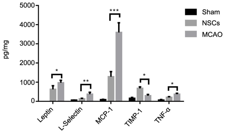 Figure 7.