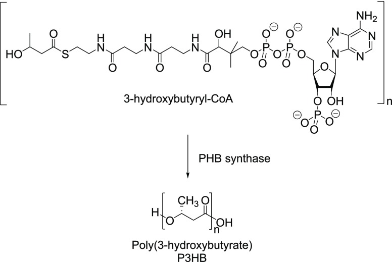 Figure 17