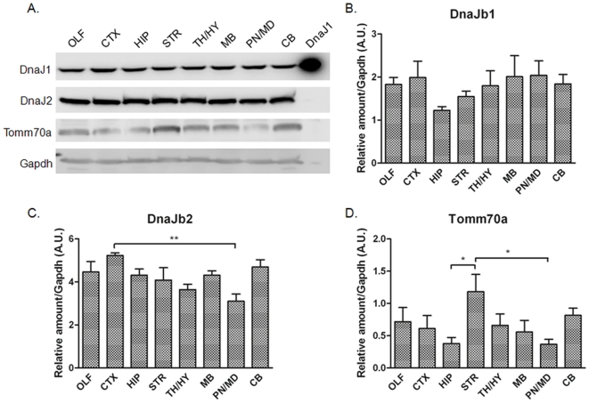 Figure 12