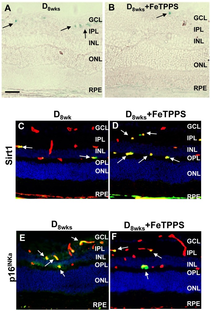 Fig 10