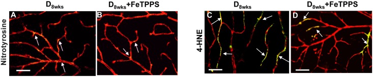 Fig 9