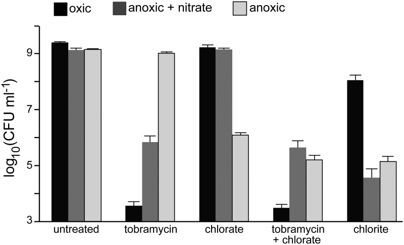 FIG 1