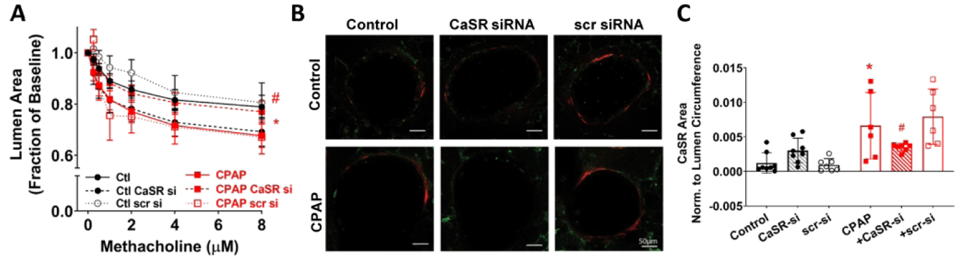 Figure 4: