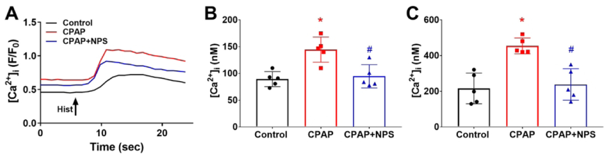 Figure 5: