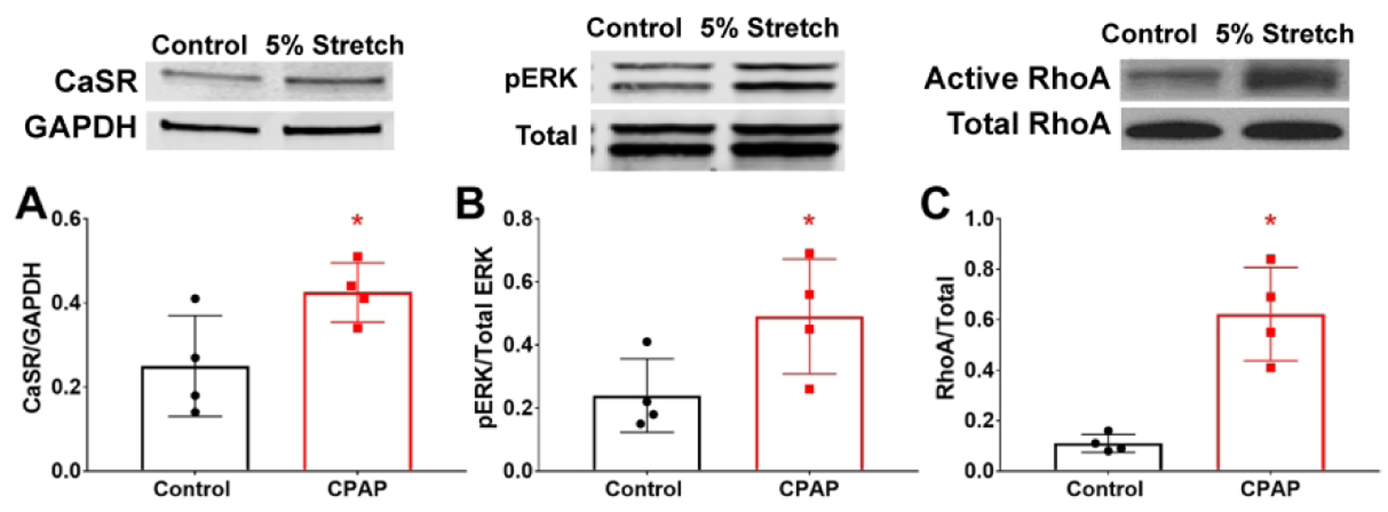 Figure 6: